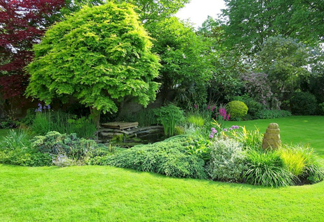 Promoting Wellness Through Reconnecting Guests With Nature