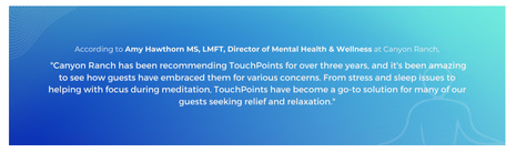 Enhancing the Cruise Experience with Wearable Stress Relief