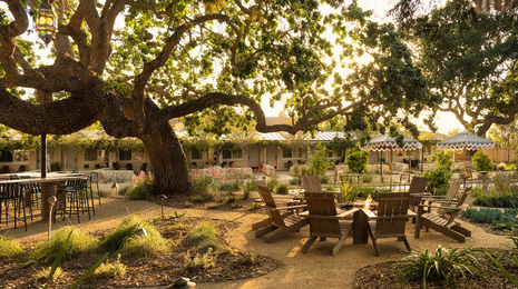 Exploring the Boutique Hotel Revolution with Kimberly Walker
